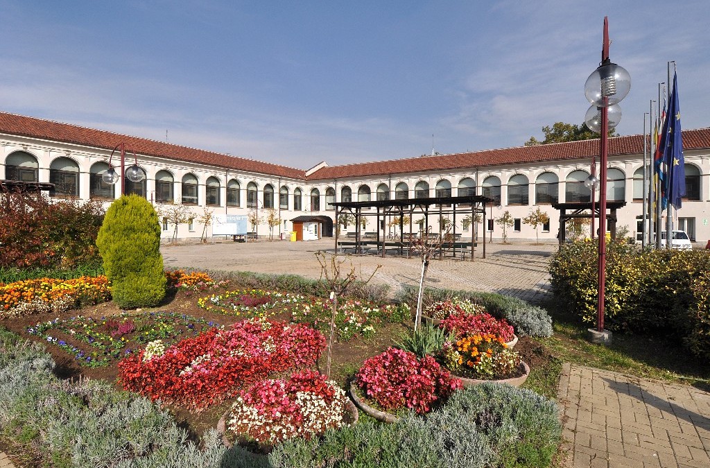 Attività delle Biblioteche per le scuole