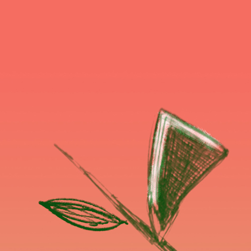 Venerdì 22 aprile 2022